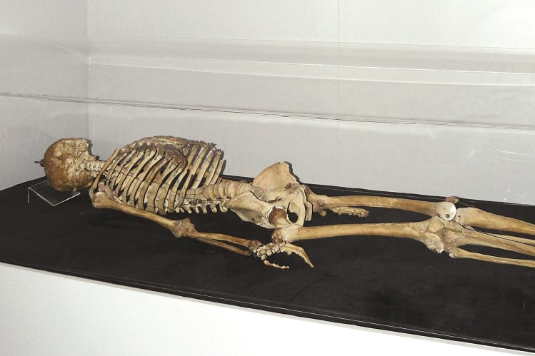 Esqueleto Joaquim